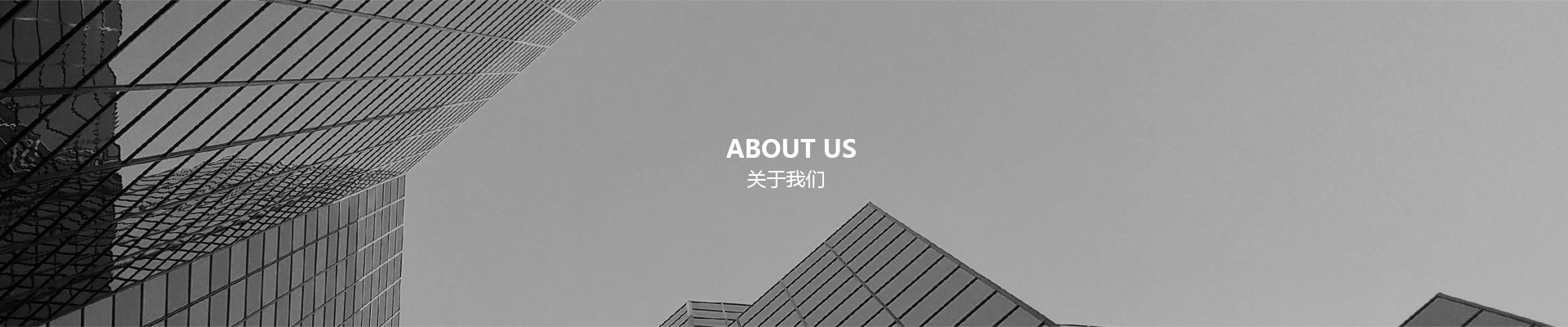 关于我们